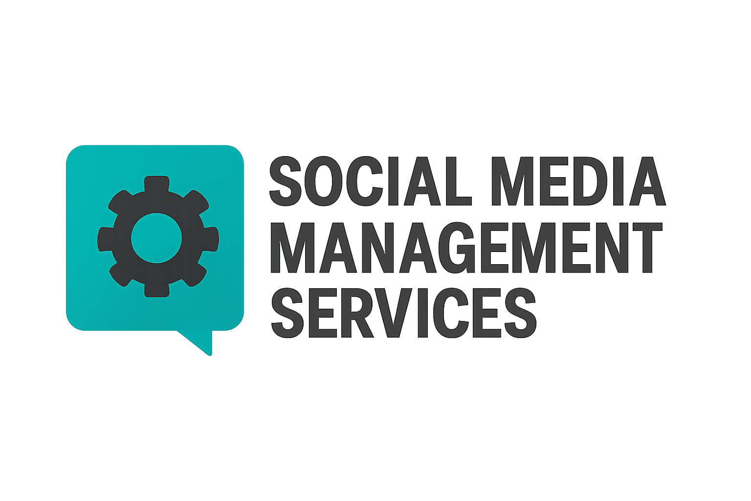 Social Media Management Services